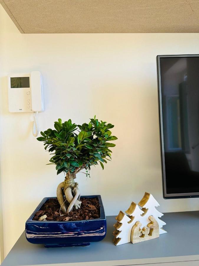 Alocasia Luxury Stay Салерно Екстериор снимка